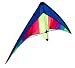 48 Wingspan Boomer Stunt Kite