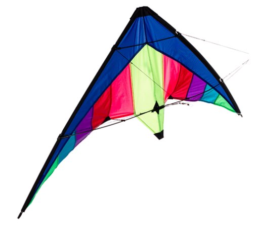 Childrens Toyshop  Toys : 48" Wingspan Boomer Stunt Kite