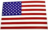 American Flag Wall Mural