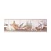 Beach Birds and Sea Shells Prepasted Wall Border