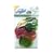 Fruit Chillers 5 Pce