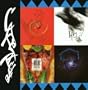 Tiempo Transcurrido: The Best of Cafe Tacuba