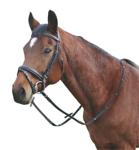 Kerbl 321717 EHL Trensenzaum, Leder, schwedisch Modell, Warmblut, schwarz Preisvergleich