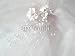 Wallmonkeys Peel and Stick Wall Decals - Wedding Veil - Removable Graphic