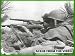 Search : 25th Infantry Tropic Lightning Division in Hawaii and Korea