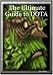 The Ultimate Guide to DOTA
