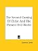 Book The Second Coming Of Christ And The Present Evil World (Kessinger Publishing's Rare Reprints)