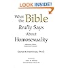 What the Bible Really Says about Homosexuality
