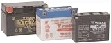 Yuasa Batteries YTX12-BS