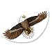 Einleinerdrachen Seeadler
