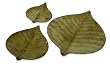 Set of 3 Green Botanical Leaf Decorative Glass Plates