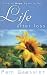 Life After Loss: Finding Hope Again in God