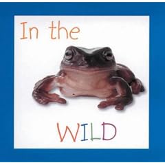 The World Outside (Mini Boardbooks)