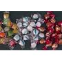 Fruit Seashell Candy