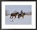 Cowboy Leading Sorrel Quarter Horse Geldings, with Two Mixed Breed Dogs, Longmont, Colorado, USA Animals Framed Art Poster Print by Carol Walker, 22x18