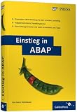 Einstieg in ABAP.