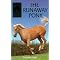 My Favourite Horse Books