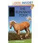 Runaway Pony (Sandy Lane Stables)