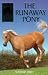 Runaway Pony (Usborne Sandy Lane Stables)