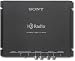 Sony XT-100HD - HD radio tuner