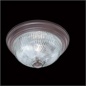 Thomas Lighting - SL8761-81 by Thomas Lighting