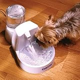 Drinkwell Pet Fountain - Improvements