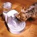 Drinkwell Pet Fountain - Improvements