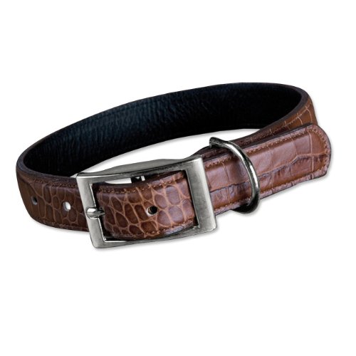 orvis leather dog collar