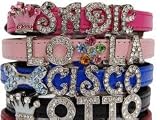 Beau Nouveau BNKITHWINANA Hollywood Starter Kit-Square Rhinestones