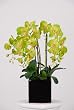 Artificial Triple-stem Phalaenopsis Orchid Arrangement Lime Green