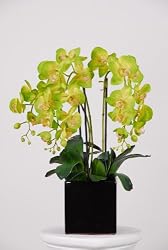 Artificial Triple-stem Phalaenopsis Orchid Arrangement Lime Green