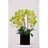 Artificial Triple-stem Phalaenopsis Orchid Arrangement Lime Green