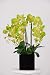 House of Silk Flowers Triple-stem Silk Phalaenopsis Orchid Arrangement Lime Green