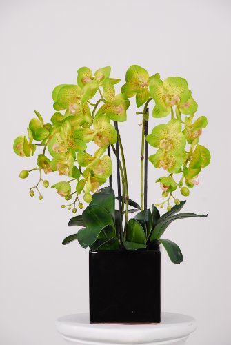 Artificial Triple-stem Phalaenopsis Orchid Arrangement Lime Green