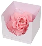 �y����E����z �T�{���h�D�t���[�� �p���[�X�g�[���t�����[ �s���N�A�x���`������ ~�A���}�̍���~ 22938