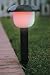 Color-Changing Solar Party Path Lights