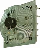 TPI CE 10-DS 10'' Exhaust Fan