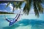 (40x60) Tropical Beach (Hammock Under Tree, Huge) Art Poster Print