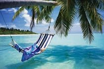 Tropical Beach (Hammock Under Tree, Huge) Art Poster Print - 102x152 cm
