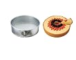 Wilton Aluminum 10 Inch Springform Pan
