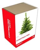 Outdoor Living : Grow It (Christmas Tree)