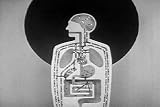  : Alcohol and the Human Body: A vintage film about the Anatomy of Alcoholism Symptoms (1949)