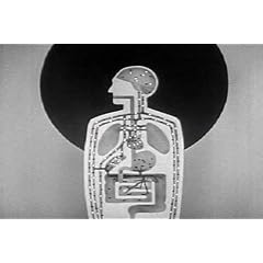 Alcohol and the Human Body: A vintage film about the Anatomy of Alcoholism Symptoms (1949)
