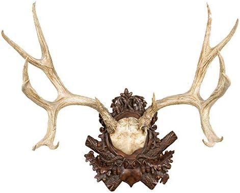 Oklahoma Casting Mule Deer Antler Wall Art
