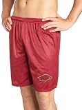 Arkansas Razorbacks Men's Mesh Shorts
