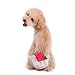 PanDaDa Puppy Pet Dog Flower Sanitary Panty Pant Lace Diaper Underwear Green X-Small