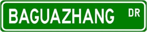 Arnis Street Sign ~ Martial Arts Gift ~ Aluminum
