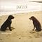 Snow Patrol Picture 16