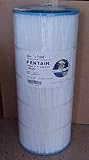 19916/Replacement Cartridge for Pentair American 590542