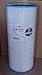 19916/Replacement Cartridge for Pentair American 590542